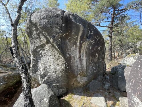 Image of jaune PD+ : 15 (3)